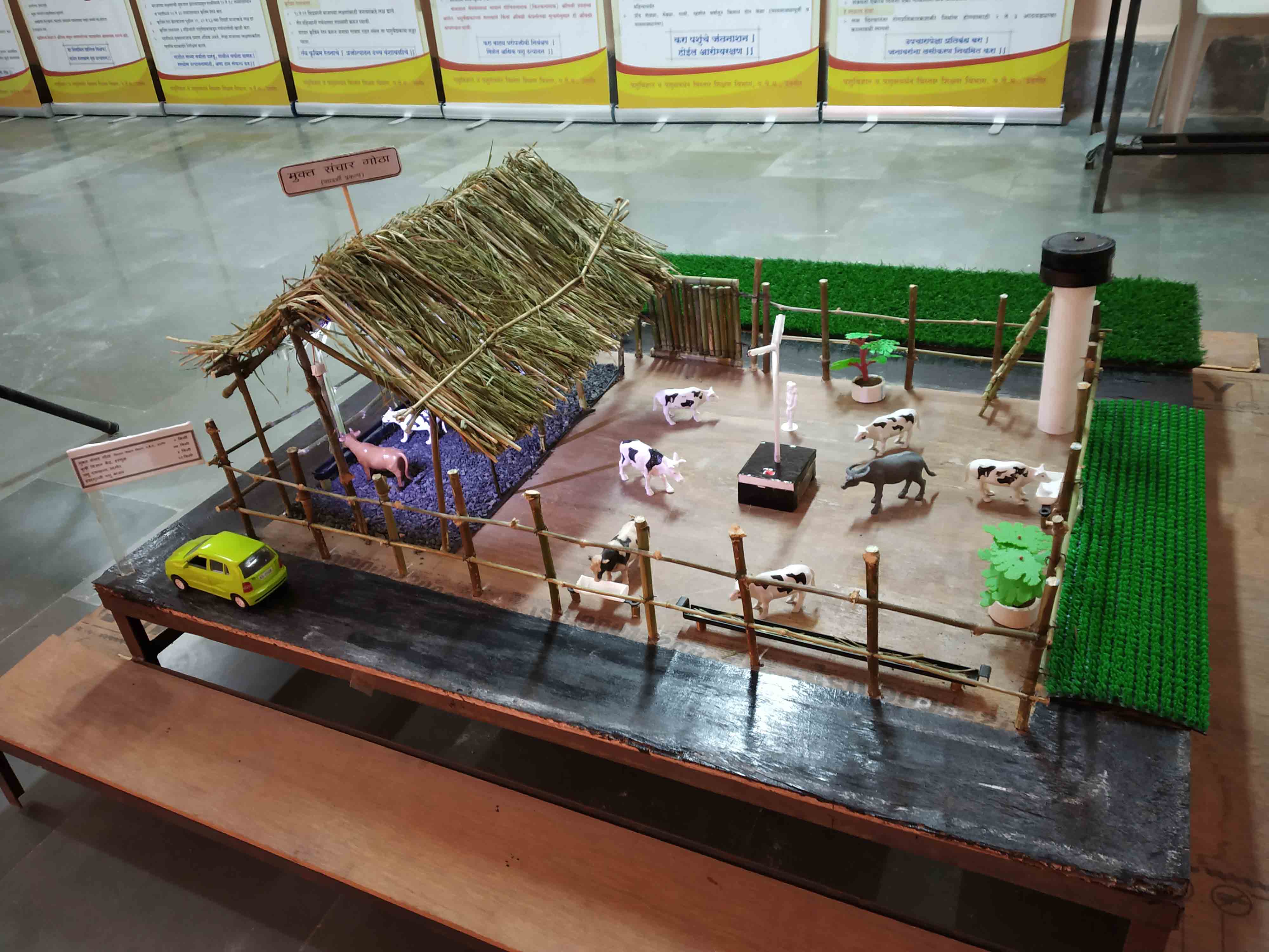 Extension Department Museum Models